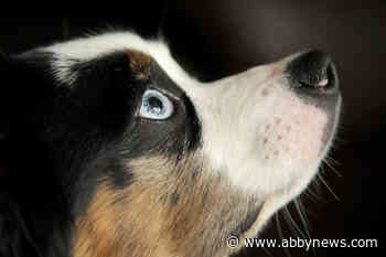 Unofficial holidays: Here’s what people are celebrating for the week of Aug. 21 to 27