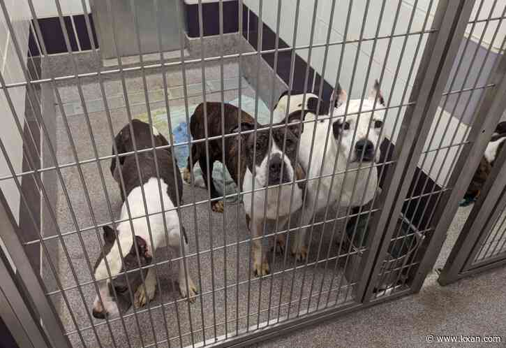 Animal shelter starts 'preventing euthanasia' list amid crowding
