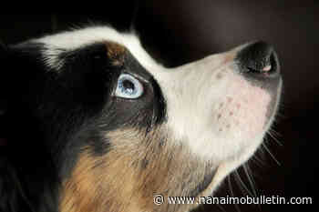 Unofficial holidays: Here’s what people are celebrating for the week of Aug. 21 to 27