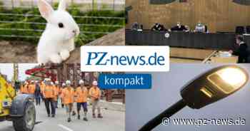 PZ-news-kompakt: Kaum Veränderung bei Corona-Inzidenzen in Pforzheim und der Region - Region - Pforzheimer Zeitung