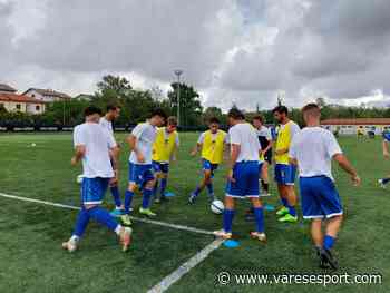 Giovedì di amichevoli – Sestese, Gavirate e Vergiatese ko. Pari Solbiatese, sorride la Castanese - VareseSport