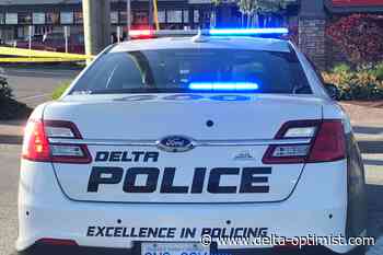 Replica firearm used in attempted B&E in Delta - Delta Optimist