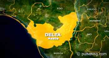 Delta labour leader faults Okowa’s recruitment - Punch Newspapers
