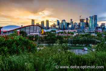 Campaign for skilled workers in Alberta evokes mixed emotions - Delta Optimist