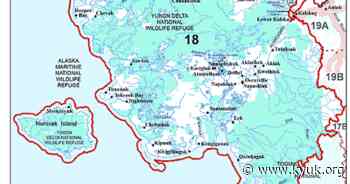 Moose hunting season in Kuskokwim area of Y-K Delta begins Sept. 1 - KYUK