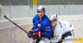 Ravensburg Towerstars treffen ihren Ex-Trainer wieder - Schwäbische