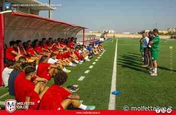 La Molfetta Calcio inserita nel girone H. Esordio contro Matera - MolfettaLive