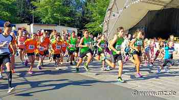 Sportangebot für alle in Zeitz: Zeitzer Stadtlauf startet am Sonntag wieder in Schloss Moritzburg - Mitteldeutsche Zeitung