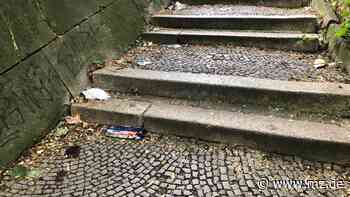 Liegengelassener Müll: Was Bürger in Zeitz auf den Straßen erleben - Mitteldeutsche Zeitung