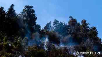 Onemi declara Alerta Roja para Traiguén por incendio forestal - T13.cl
