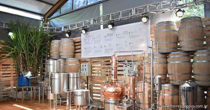 1º Festival da Cachaça de Ivoti começa nesta sexta-feira - Correio do Povo