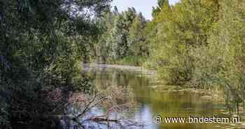 De Tonnekreek, een onontdekte route langs mooie doorkijkjes - BN DeStem