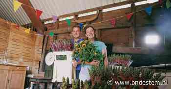 Bloemen kopen bij de boer, maar wel zelf afrekenen - BN DeStem