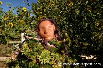 Indigenous groups irked after Aurora leaders sharply shoot down “land back” acknowledgment - The Denver Post