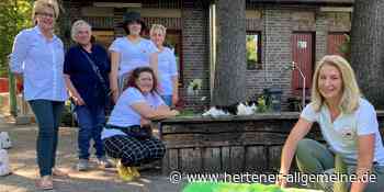 Marl: Conny Lehmann fängt Streunerkatzen - das Tierheim päppelt sie auf - Hertener Allgemeine