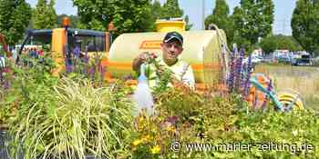 Lange Trockenheit - wo Gefahren lauern und was der ZBH tut - Marler Zeitung