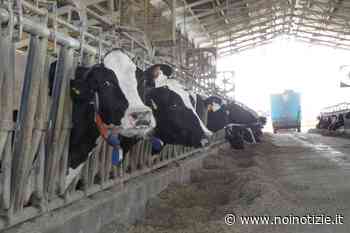 Bolletta elettrica: Puglia, "stangata del +220 per cento su agriturismo, fattorie e stalle" - Noi Notizie