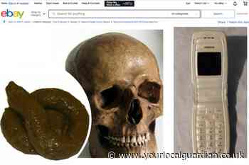 Most peculiar things to buy on eBay in south London  