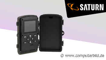 Für unter 80 Euro: Technaxx-Wildkamera günstig im Saturn-Deal - COMPUTER BILD - COMPUTER BILD