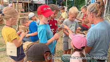 Ferien in Schramberg - Drei Wochen voller Spaß – Abenteuerspielplatz ist gestartet - Schwarzwälder Bote