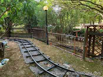 Cinghiali alla Maggiolina, Cna: “Il danno per l’attività che opera nel parco dovrà essere risarcito dal Comune” - CittaDellaSpezia