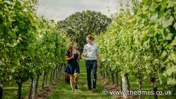 Sparkling sales for Ashcroft’s Gusbourne wine | Business - The Times