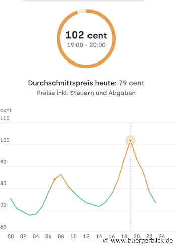 Strombörsenpreis erstmals über 1 Euro - Nachrichten - Bürgerblick Passau