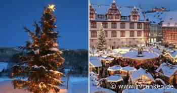 Coburg: Stadt sucht bereits "passende Weihnachtsbäume" - mitten im Sommer