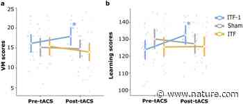 Enhancing memory capacity by experimentally slowing theta frequency oscillations using combined EEG-tACS | Scientific Reports - Nature.com