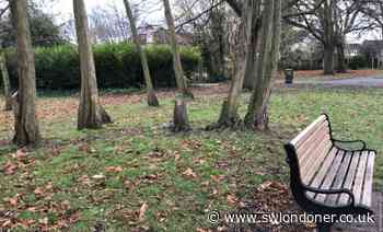 Hounslow Council's park ranger scheme to help prevent grass fires - South West Londoner