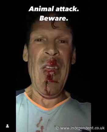 I opened an energy bar during a marathon - and got charged by a coyote - The Independent