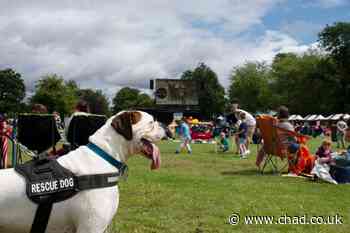 Sutton Lawn will be location for the first ever Ashfield Day in August - Mansfield and Ashfield Chad