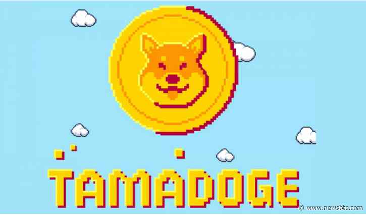 Tamadoge Makes Noise – Is TAMA A Better Alternative To SOL?