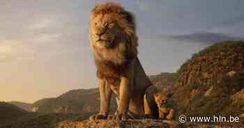 Openluchtcinema keert terug naar Domein Begonia - Het Laatste Nieuws