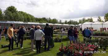Na twee jaar terug bloemenmarkt aan Wijngaardeke - Het Laatste Nieuws