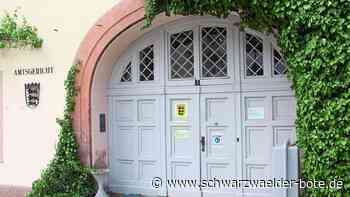 Amtsgericht Nagold: Richter sieht im Drogenkonsum das größte Problem