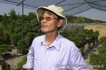 Addio al sopravvissuto di Hiroshima che curava bonsai sul lago di Garda - Giornale di Brescia