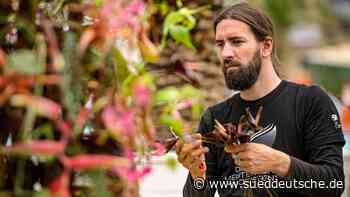 Handwerk - Thüringer wird Meister der Floristen - Wirtschaft - Süddeutsche Zeitung - SZ.de