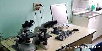 Laboratorio analisi al San Timoteo, anche lì manca il personale - Termoli Online