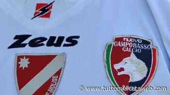 In attesa del Consiglio di Stato, il Campobasso riprende la preparazione pre campionato - TUTTO mercato WEB