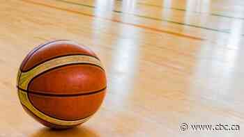 Consultants map out options for a new Fredericton-owned gym - CBC.ca