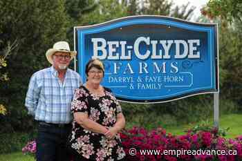 Darryl Horn's weighty influence with the draft breeds - Virden Empire Advance