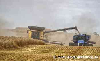 20 per cent loss in a “good” crop? - Virden Empire Advance