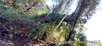 Post tempeste del 15 e 18 agosto, il sindaco di Impruneta: "Eliminate tutte le situazioni di pericolo" - Il Gazzettino del Chianti e delle Colline Fiorentine