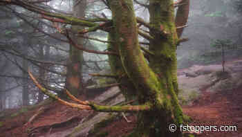 What Filters Does a Professional Landscape Photographer Use?