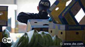 Ecuador: Police seize over 3 tons of cocaine in banana boxes - DW (English)