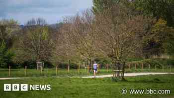 Thousands donated to trust to improve Exeter park - BBC