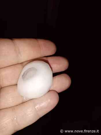 Grandine grossa, caduti chicchi grandi come noci - Nove da Firenze