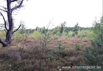 Lommel - Kattenbos, landschappen en steentijd - Internetgazet