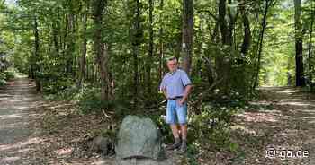 Bonn: Kottenforst soll neues Wegeleitsystem bekommen - General-Anzeiger Bonn